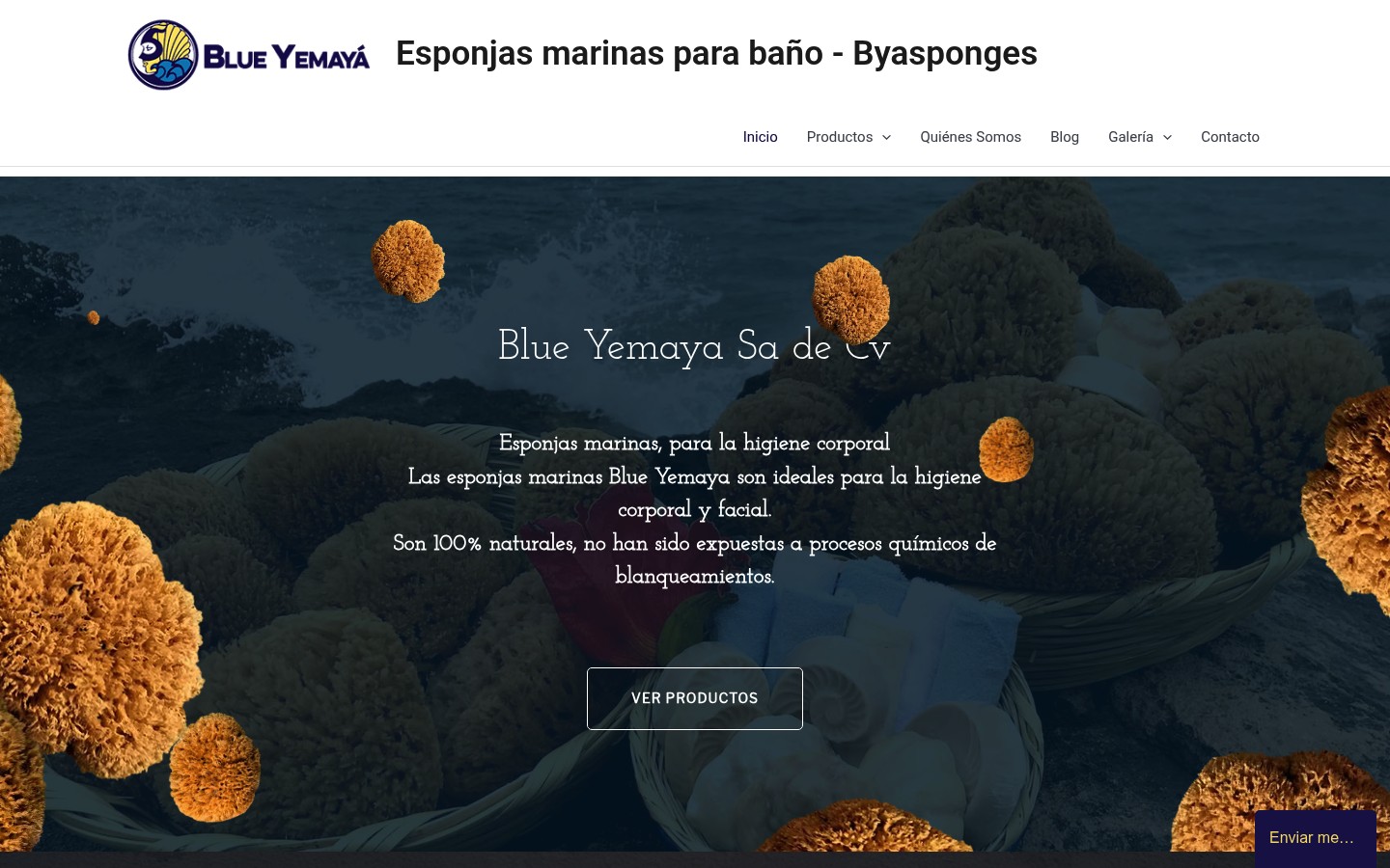 BYA Sponges — project screenshot