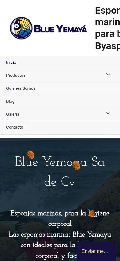 BYA Sponges — mobile view