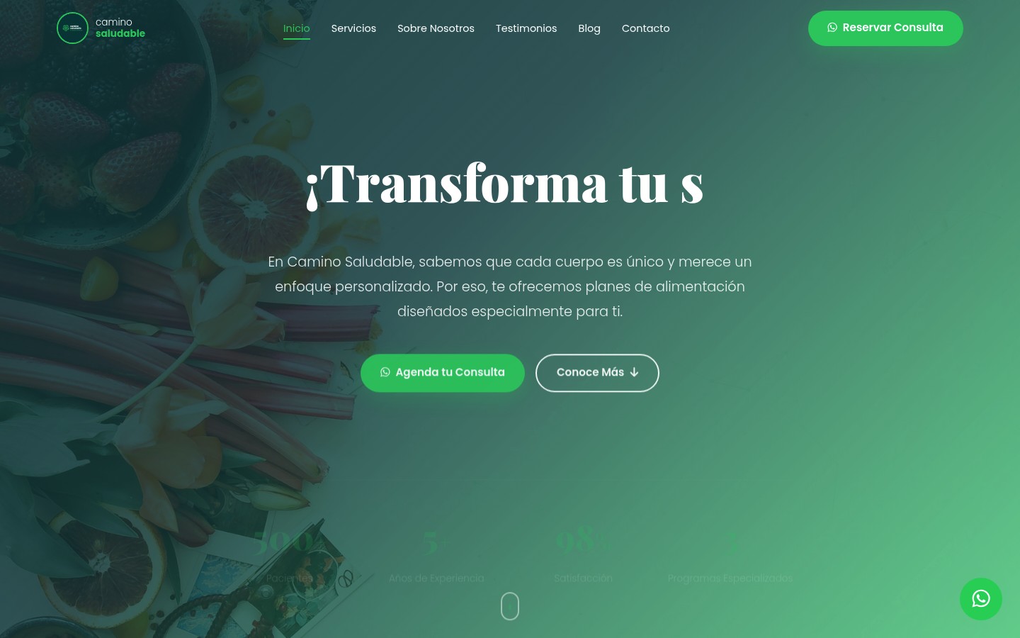Camino Saludable — project screenshot
